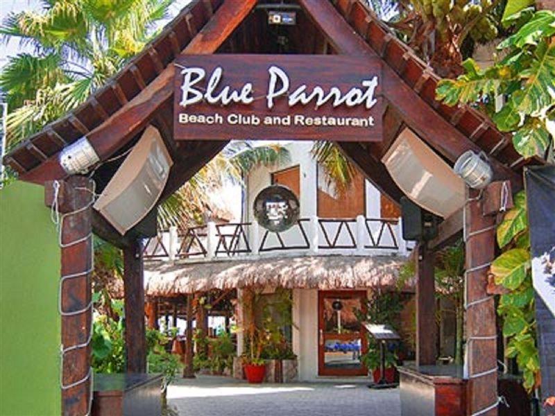Blue Parrot Suites Playa del Carmen Extérieur photo