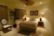 Blue Parrot Suites Playa del Carmen Extérieur photo